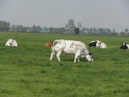 Foto van de omgeving